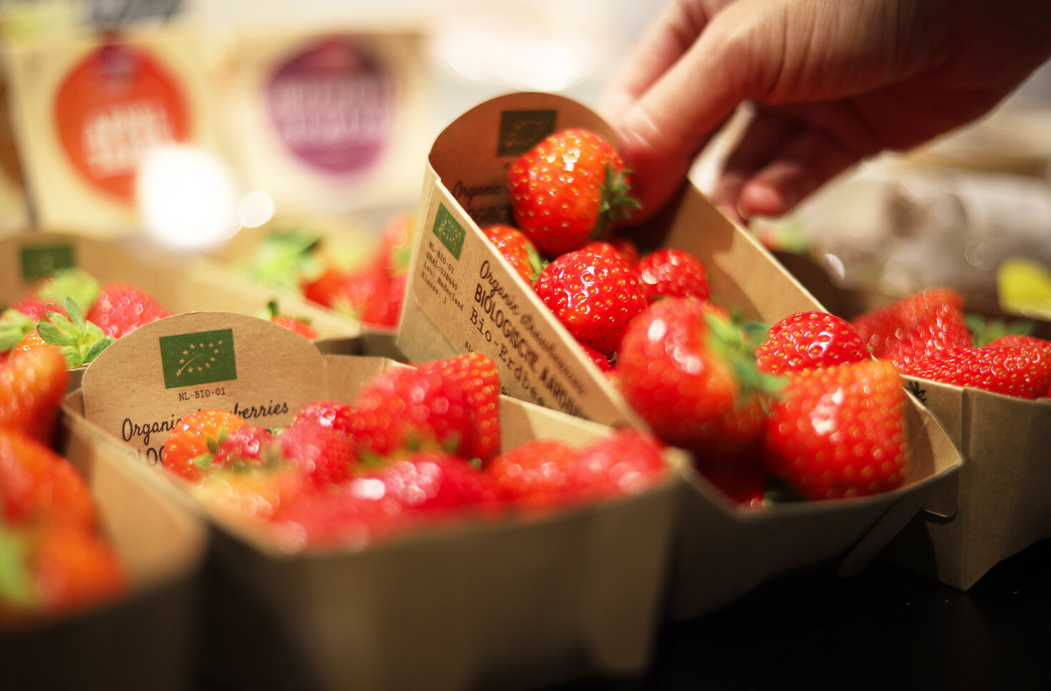 Aardbeien bio small