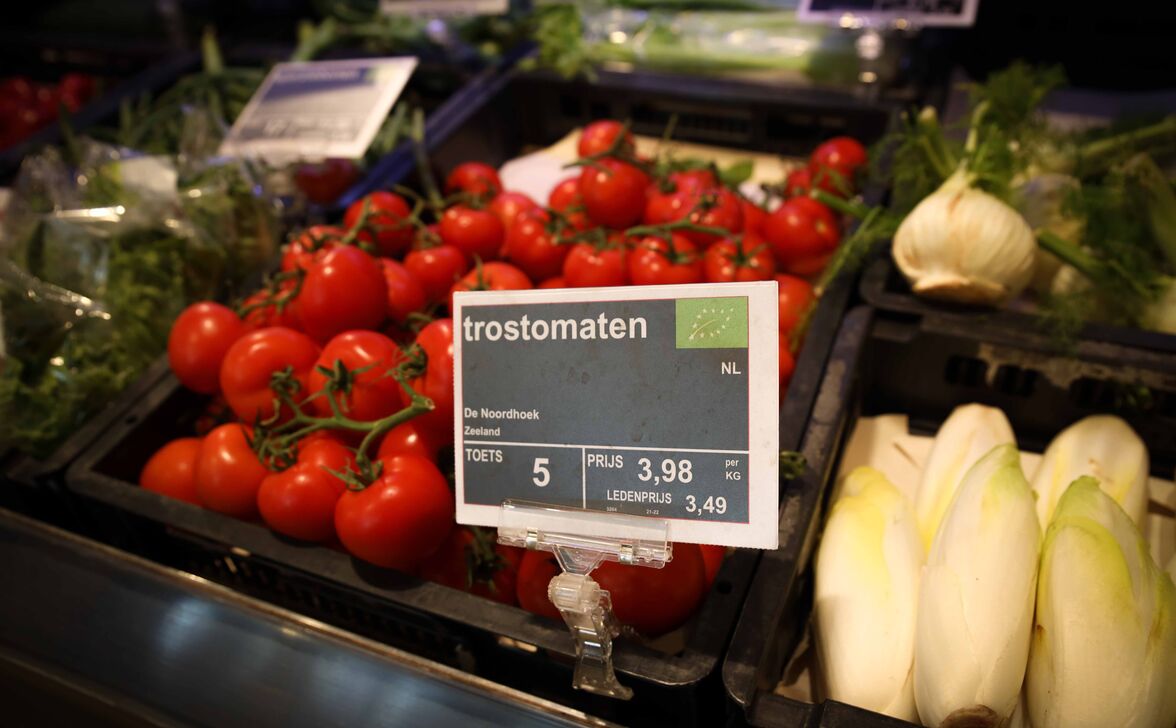 Tomaten Odin